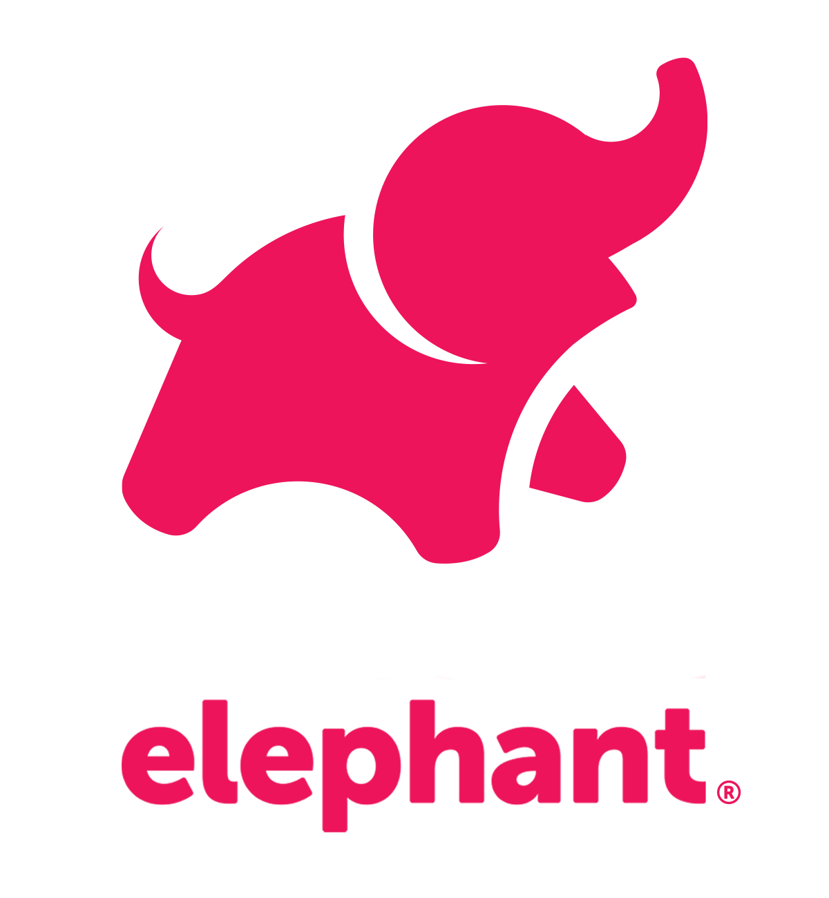 the social elephant